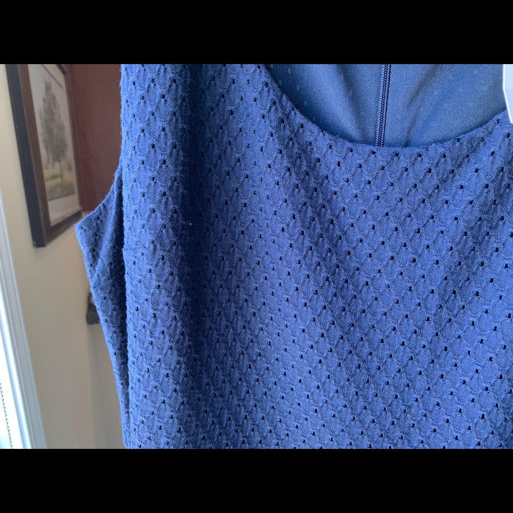 NWT Ann Taylor LOFT Navy Eyelet Dress